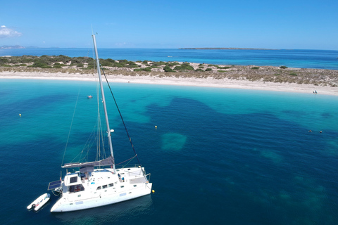 Exclusive Catamaran Sail to Formentera