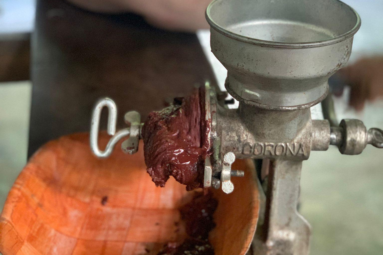 نزهة باسو ديل مانجو والحديقة النباتية والشوكولاتة