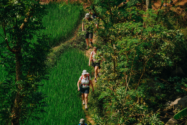 Yogyakarta: Merapi Sunrise Jeep and Trek with Lunch