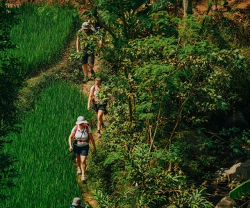 Yogyakarta: Merapi Sunrise Jeep and Trek with Lunch