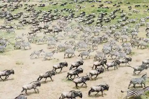 **Meerdaags avontuurlijke kampeersafari: Tanzania & Kenia"**