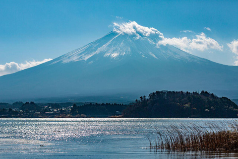 Tokyo: Oshino Hakkai, Cable Car, Matcha Experience Day Trip Shinjuku Station:8:30AM