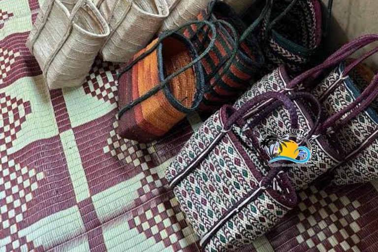 Zanzibar: Nungwi Village Tour, Jozani Forest and The Rock