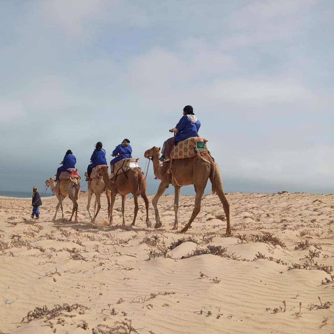 Dakhla : balade à dos de chameau