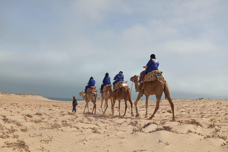 Giro in cammello nel deserto di DakhlaGiro in cammello al tramonto 1 ora