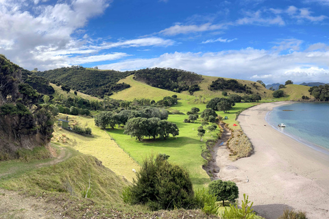 Bay of Islands: Urupukapuka Island Guided Walk Bay of Islands: Urupukapuka Island Guided Walk - Afternoon