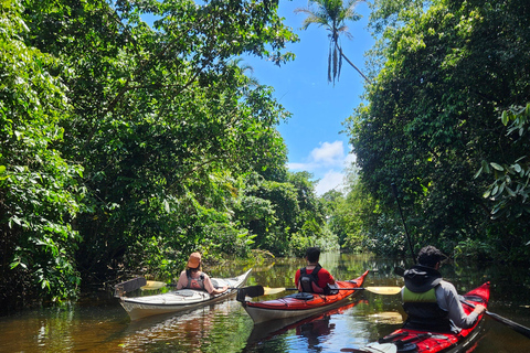 Paraty: 3-Day Kayak & Hike - Mamangua Expedition Paraty: 3-Day Kayak & Hike - Mamangua Expedition - Camping