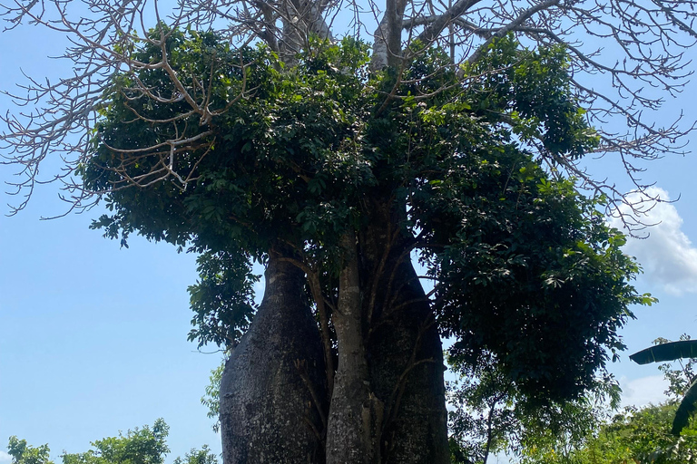 Ukryty klejnot Zanzibaru: Całodniowa przygoda na wyspie Uzi