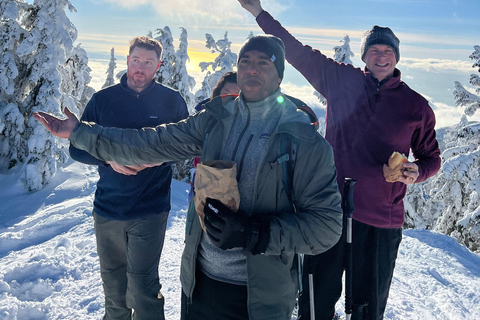 Raquetas de nieve en el País de las Maravillas Invernal de Vancouver