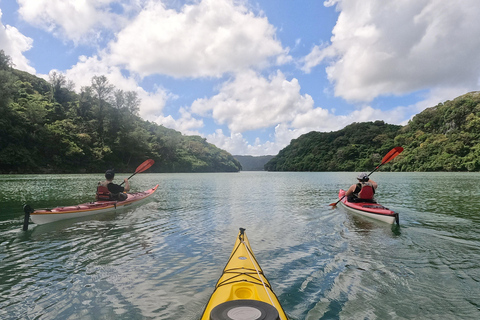 Okinawa: Private Kayak Mangrove or Reef with Native EnglishOkinawa: Private Kayak Tour with English-Speaking Guide