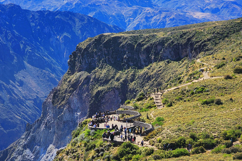 From Arequipa: 3-Day Tour to Colca Canyon and Lake Titicaca