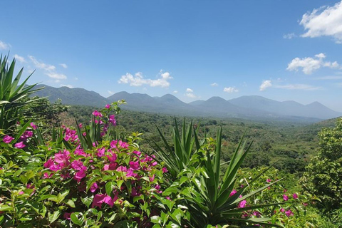 San Salvador : Journée entière sur la route de Las Flores et dans une ferme de café