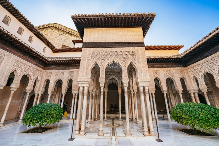 Grenade : visite guidée de l'Alhambra, palais nasrides, jardins