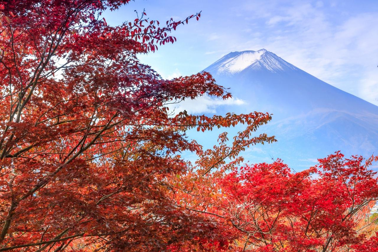 Tokyo: Mt Fuji&Chureito Pagoda&Lake Kawaguchi&Oshino Hakkai Free Karaage Chicken Set | 8AM Tokyo Station Departure