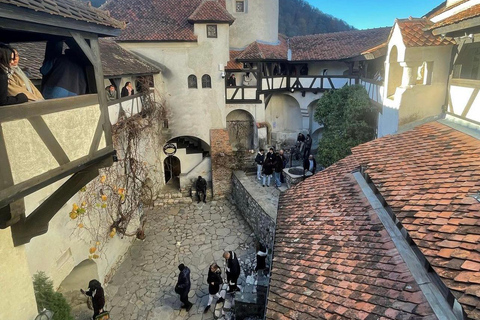 Sibiu: Dracula's Castle and Brasov Day Roundtrip Day Tour