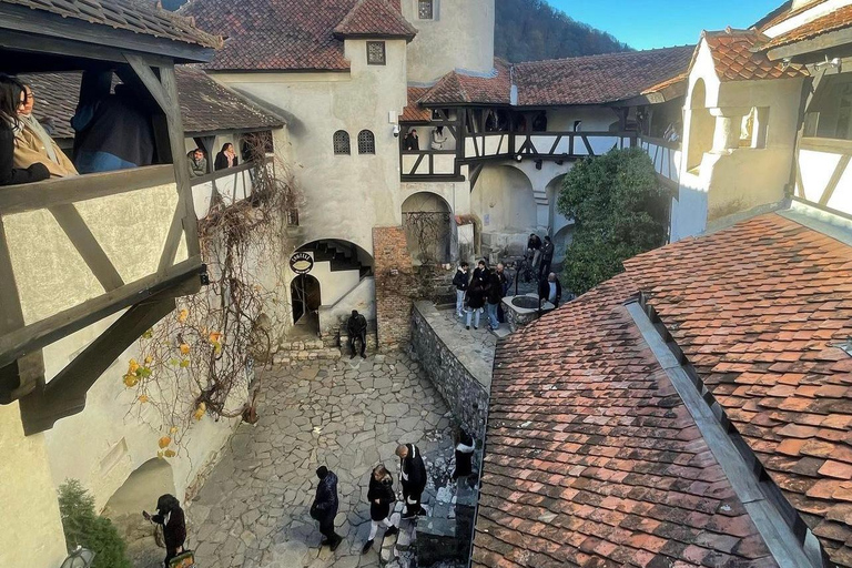 Sibiu: Dracula's Castle and Brasov Day Roundtrip Day Tour