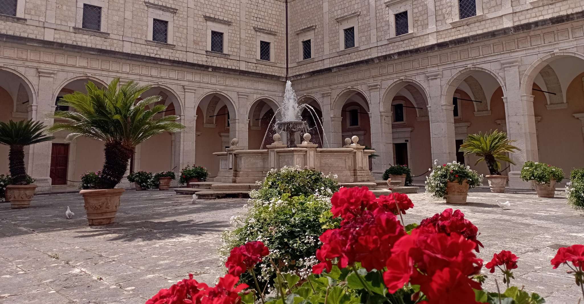 Cassino: Tour del campo di battaglia di Montecassino di Anna Priora