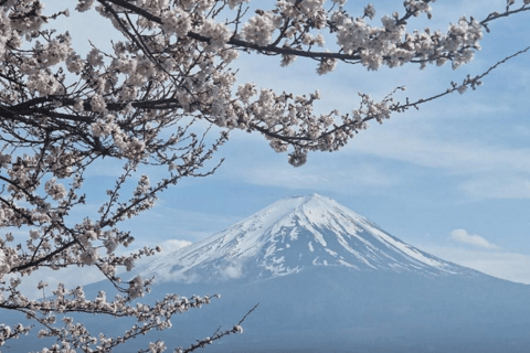 Mt-Fuji Sunrise Escape from Tokyo Early Access Private Tour