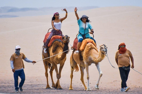 Paracas & Ica: 2-Day Tour with Huacachina and Camel Ride