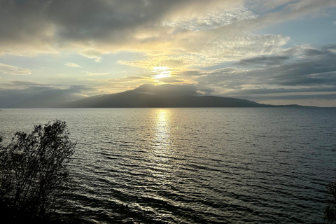 Narvik/Harstad : Excursion d&#039;une journée dans les Fjords avec arrêt à la ferme des rennes