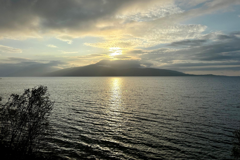 Narvik/Harstad : Excursion d&#039;une journée dans les Fjords avec arrêt à la ferme des rennes