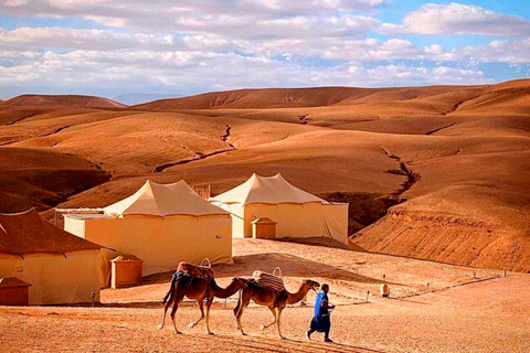 Von Marrakech aus: Abendessen in der Wüste von Agafay bei Sonnenuntergang mit Kamelritt