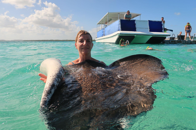 St.John's, Antigua: Stingray City & Long Bay Shore Excursion