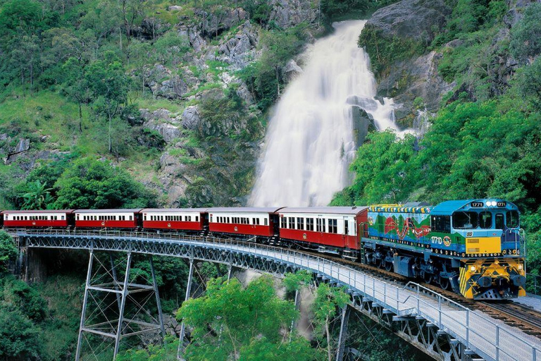 From Port Douglas: Hartley's Crocodile Park, Skyrail & Train