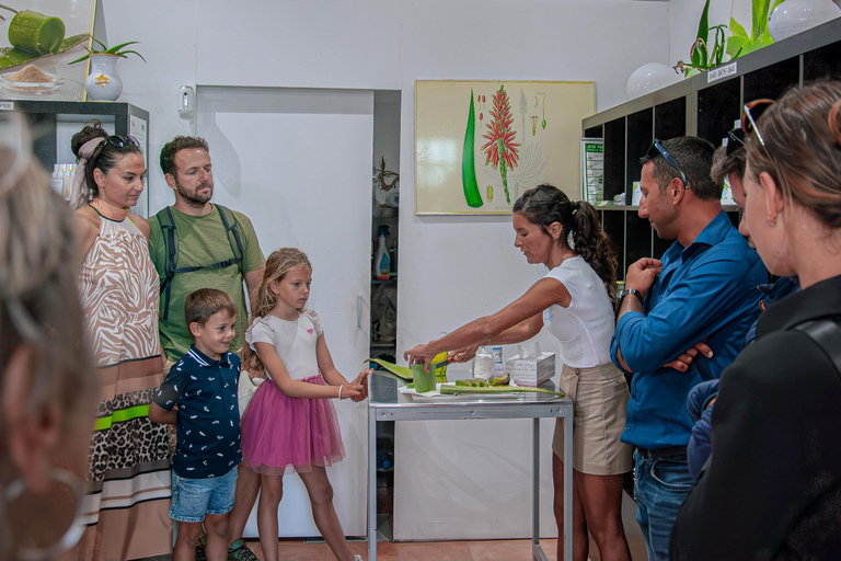 Corralejo: passeio a pé com degustação de produtos locaisCorralejo: Passeio a pé com degustação de produtos locais