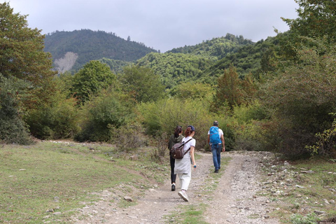 From Baku: Hidden Garanohur Lake Forest Trek