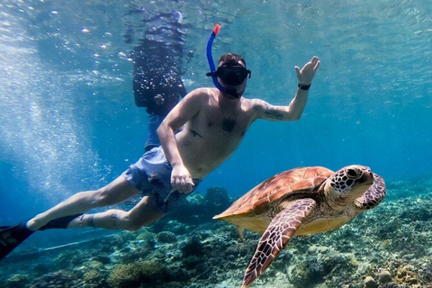 Lombok : Gili Trawangan, Meno y Aire Tour Privado de Snorkel