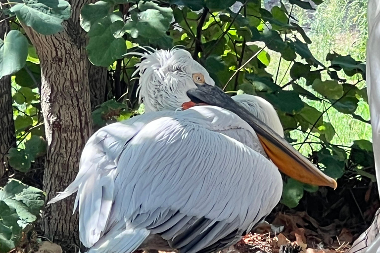 Albania: 6-Day Tour of Nature and Heritage