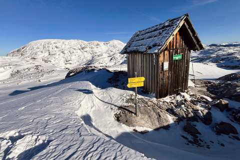 Hallstatt: Panoramic Snowshoe Hike to Heilbronner Cross