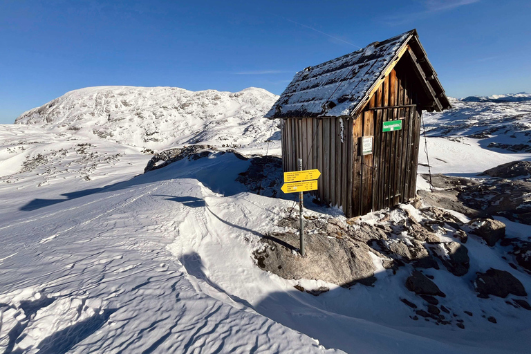 Hallstatt: Panoramic Snowshoe Hike to Heilbronner Cross