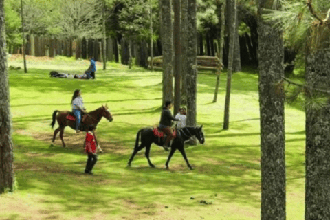 San Cristóbal: Park ekoturystyczny Arcotete i jaskinie Rancho Nuevo