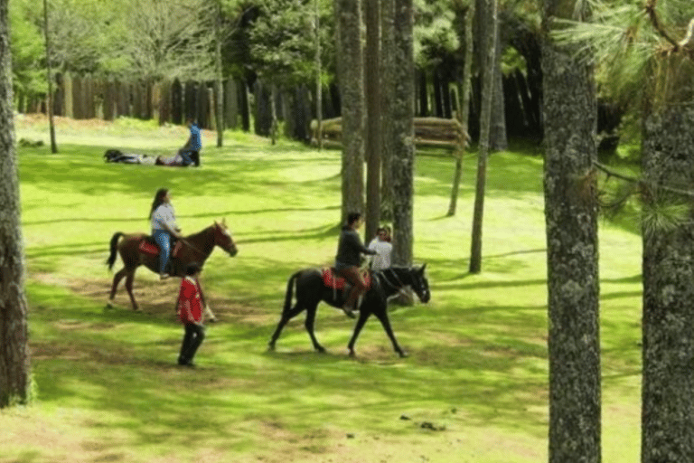 San Cristóbal: Ekoturismparken Arcotete och grottorna i Rancho Nuevo