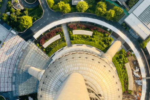 Shanghai Oriental Pearl Tower: Skywalk & Ticket
