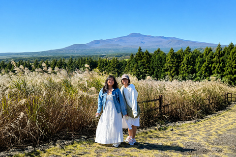 Jeju: Udo Island, Seongsan & Tangerine Picking Tour