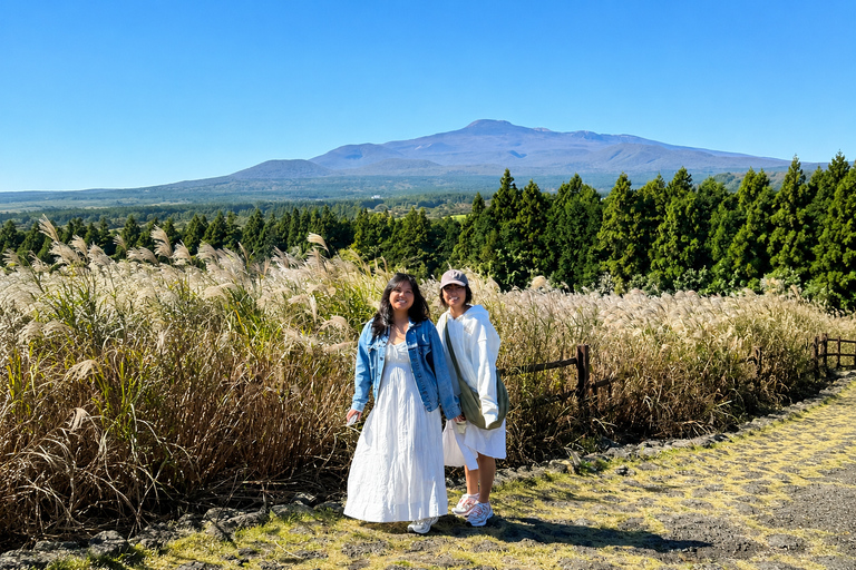 Jeju: Udo Island, Seongsan & Tangerine Picking Tour