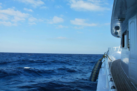 Hurghada: Excursión en barco a la Casa de los Delfines con snorkel