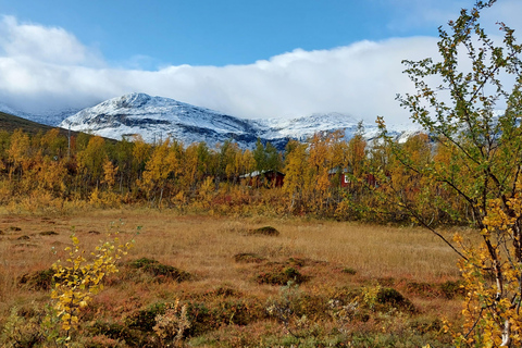 Van Abisko: rondleiding Kärkevagge-vallei en Trollsjön-meer