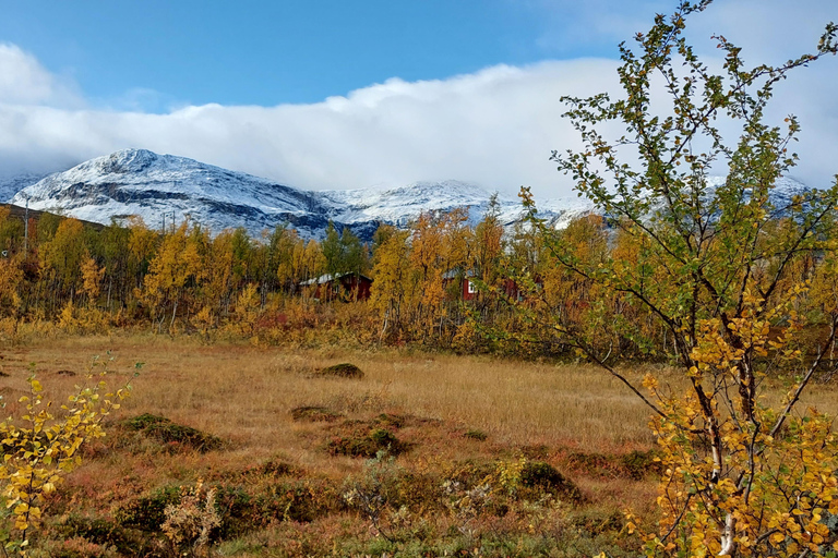 Au départ d&#039;Abisko : Visite guidée de la vallée de Kärkevagge et du lac Trollsjön