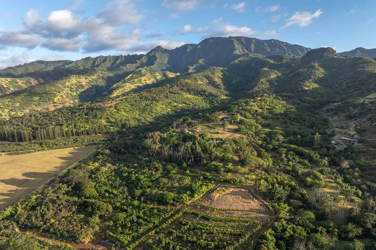Oahu: Chocolate Farm Tour with Tasting - Kamananui Cacao