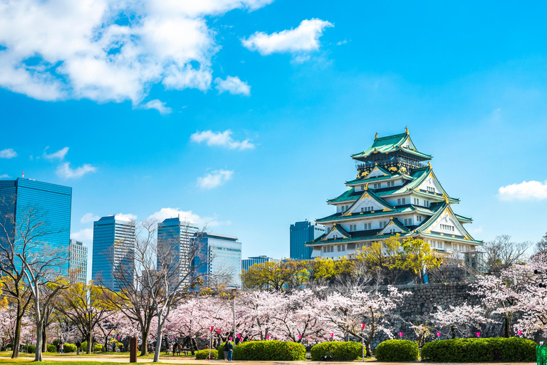 Osaka: 1-Day Private Customizable Trip by Car Osaka: Private Customizable Day Trip by Car