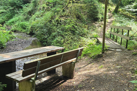 Boppard: geführte Wanderung auf der Traumschleife "Hasenkammer"
