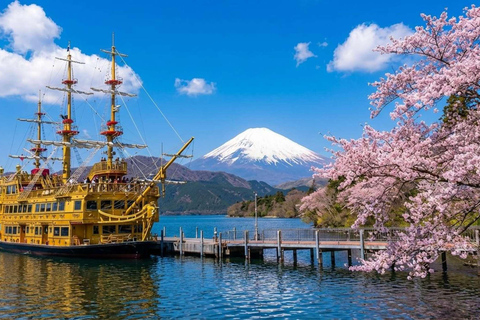 From Tokyo : Mount Fuji Private Day Trip with Hotel Pickup Mount Fuji & Hakone Customize Tour With English Guide
