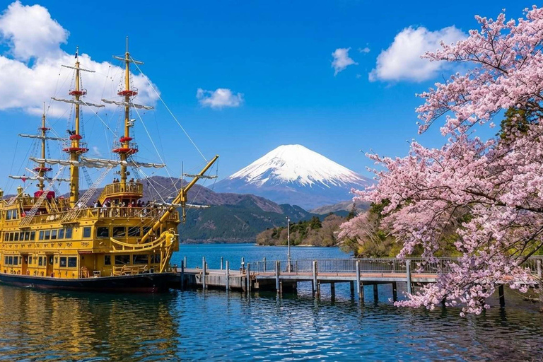 From Tokyo : Mount Fuji Private Day Trip with Hotel Pickup Mount Fuji & Hakone Customize Tour With English Guide