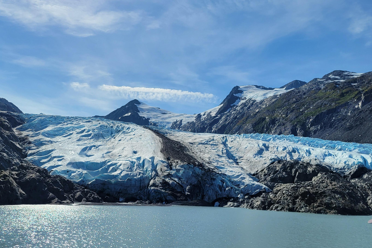 Anchorage: Portage Glacier en Wildlife Explorer Cruise