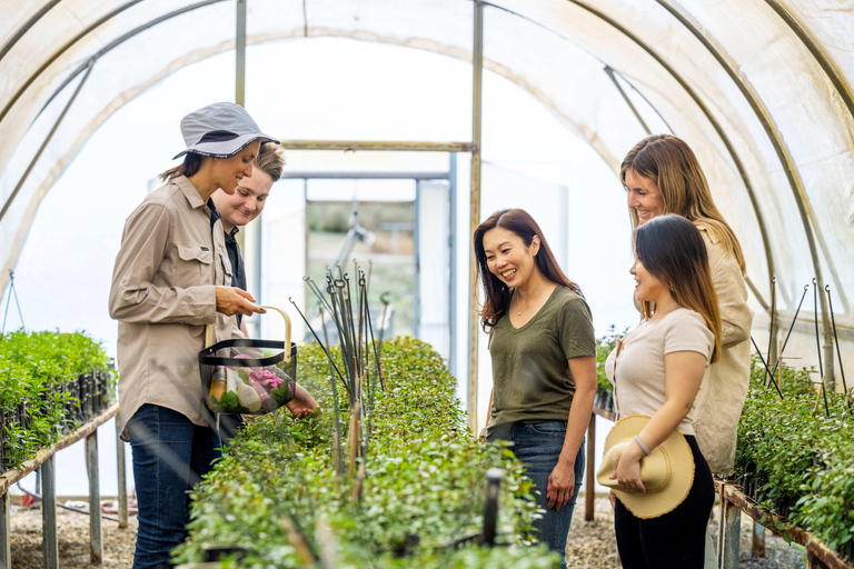 Adelaide Hills : Visite de la ferme Jurlique