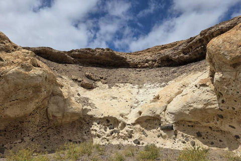 Cape Cross, Seals and River Desert Nature Tour [New Route]